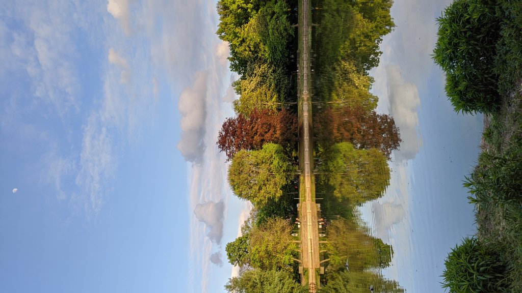 Red tree green tree reflection