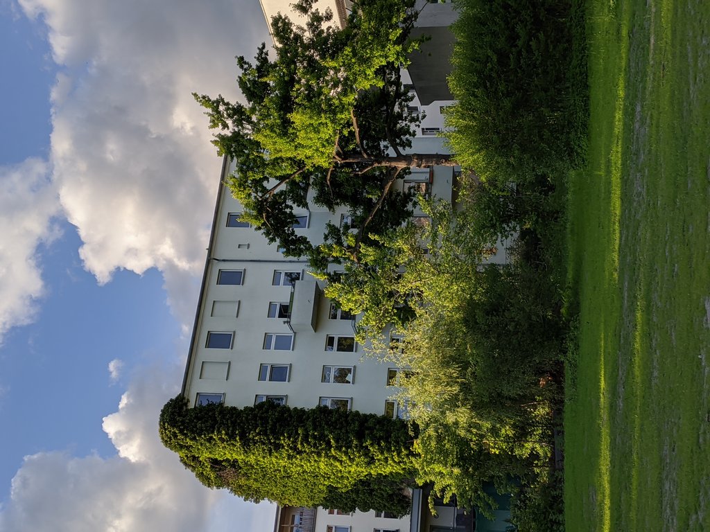 Green eating building