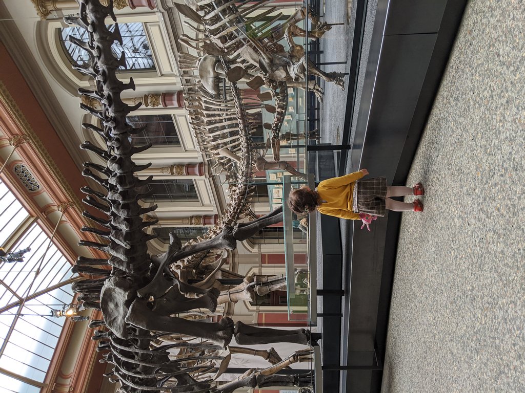 Curiosity under dinosaur fossil