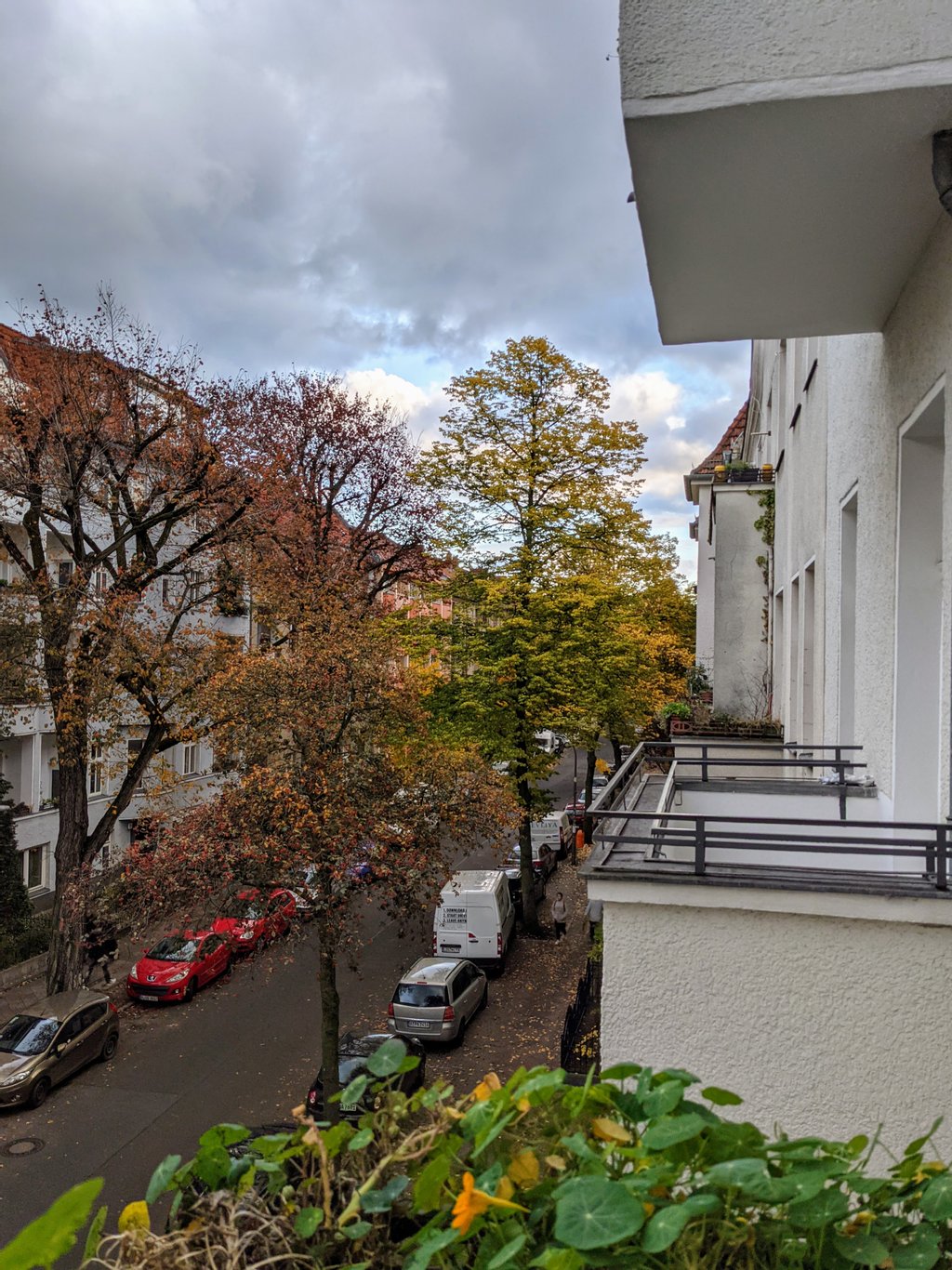 Autumn day on Steegerstr.