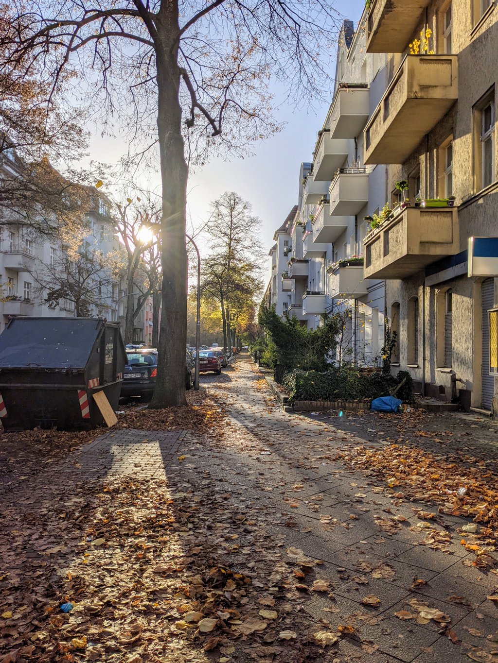 Autumn morning on Steegerstr.