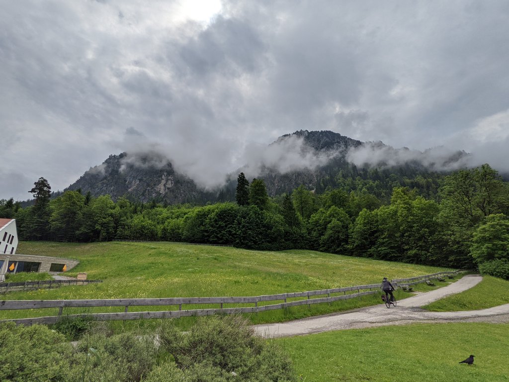 Bike, crow and a fog