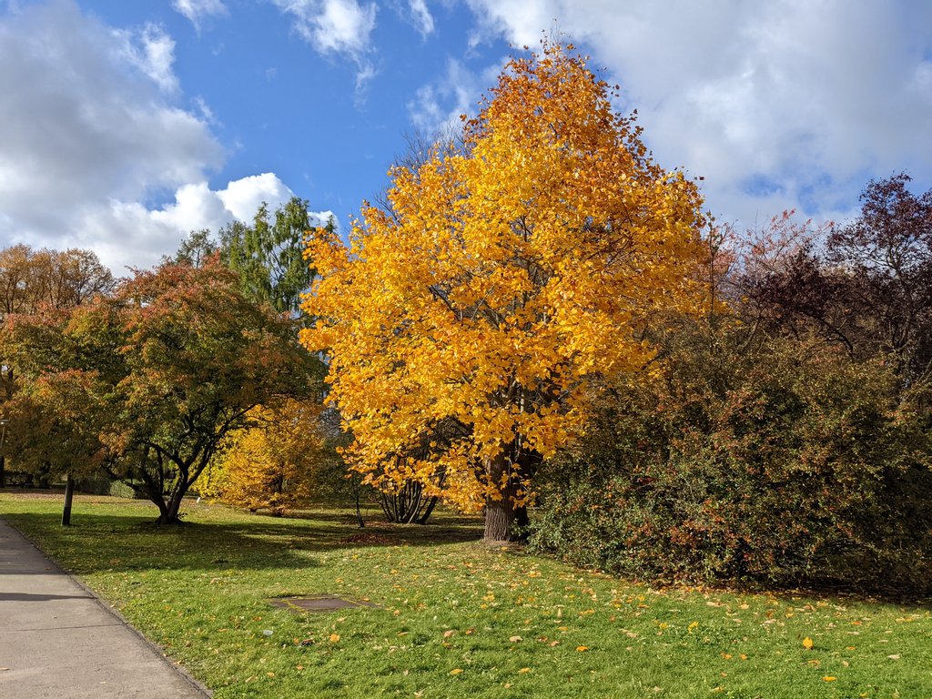 Autumn in Botanisher Volkspark Pankow-Blankenburg