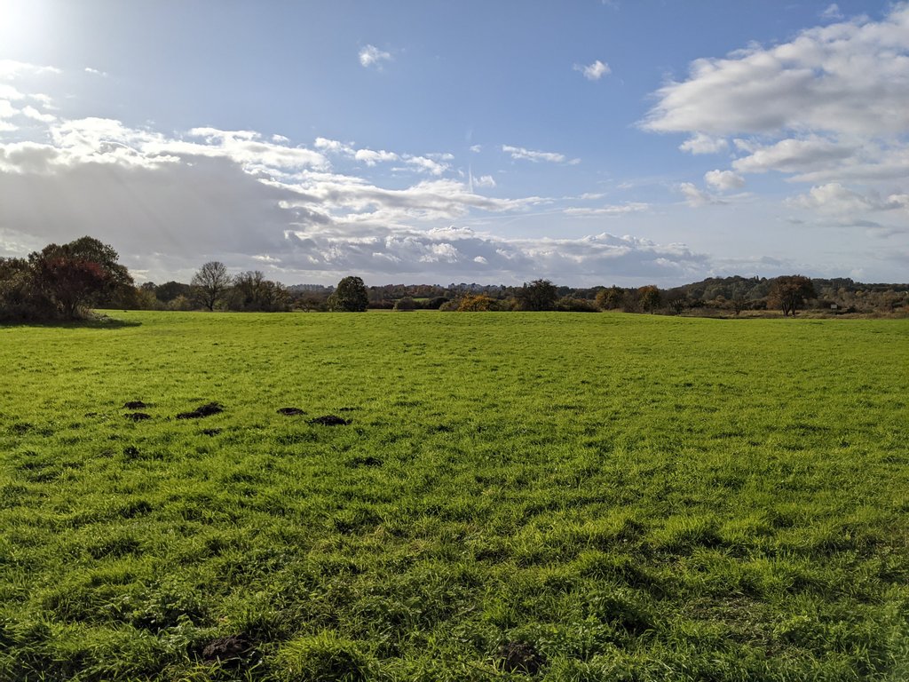 Field near Blankenburg